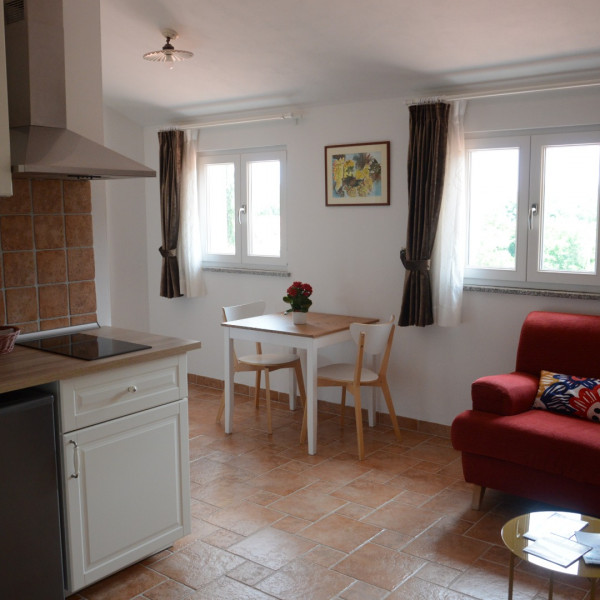 Dnevni boravak, Residence Mama, Residence Mama apartmani nedaleko Rovinja, Istra Rovinjsko Selo