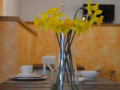 Frühstücksraum, Residence Mama Apartments in der Nähe von Rovinj, Istrien, Kroatien Rovinjsko Selo